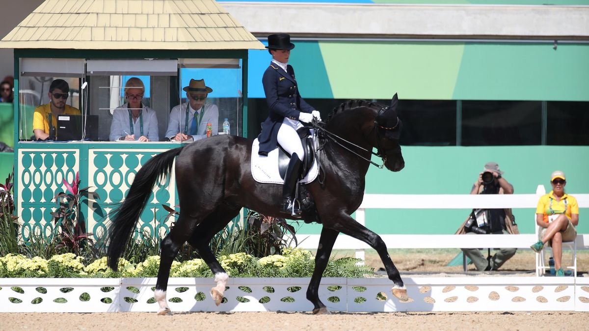Die deutsche Dressurreiterin Kristina Bröring-Sprehe errang gemeinsam mit "Desperados FRH" bei den Olympischen Spielen 2016 in Rio de Janeiro Mannschaftsgold sowie Einzelbronze. "Desperados FRH" wurde in dem Jahr auch als "Hannoveraner Hengst des Jahres" ausgezeichnet. Später folgte eine Verletzung und dann 2018 das Comeback mit drei Siegen bei Turnieren in Deutschland. Anschließend war "Desperados FRH" ausschließlich als Deckhengst im Einsatz und galt als "Top-Vererber". Foto: Gentsch