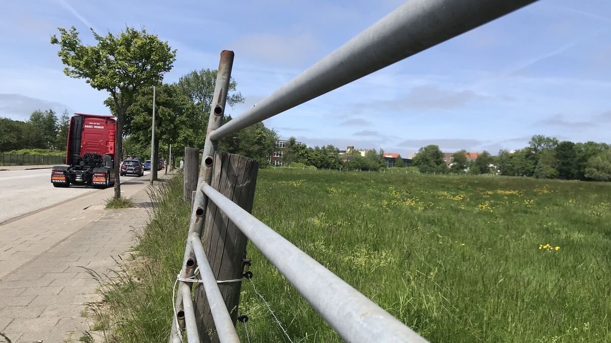 Das frühere Bauernhof-Grundstück neben der Schule am Meer in Döse: Hier soll der Neubau der Schule am Meer realisiert werden. Nicht ausgeschlossen ist, dass dabei noch Platzreserven übrig bleiben. Foto: Reese-Winne