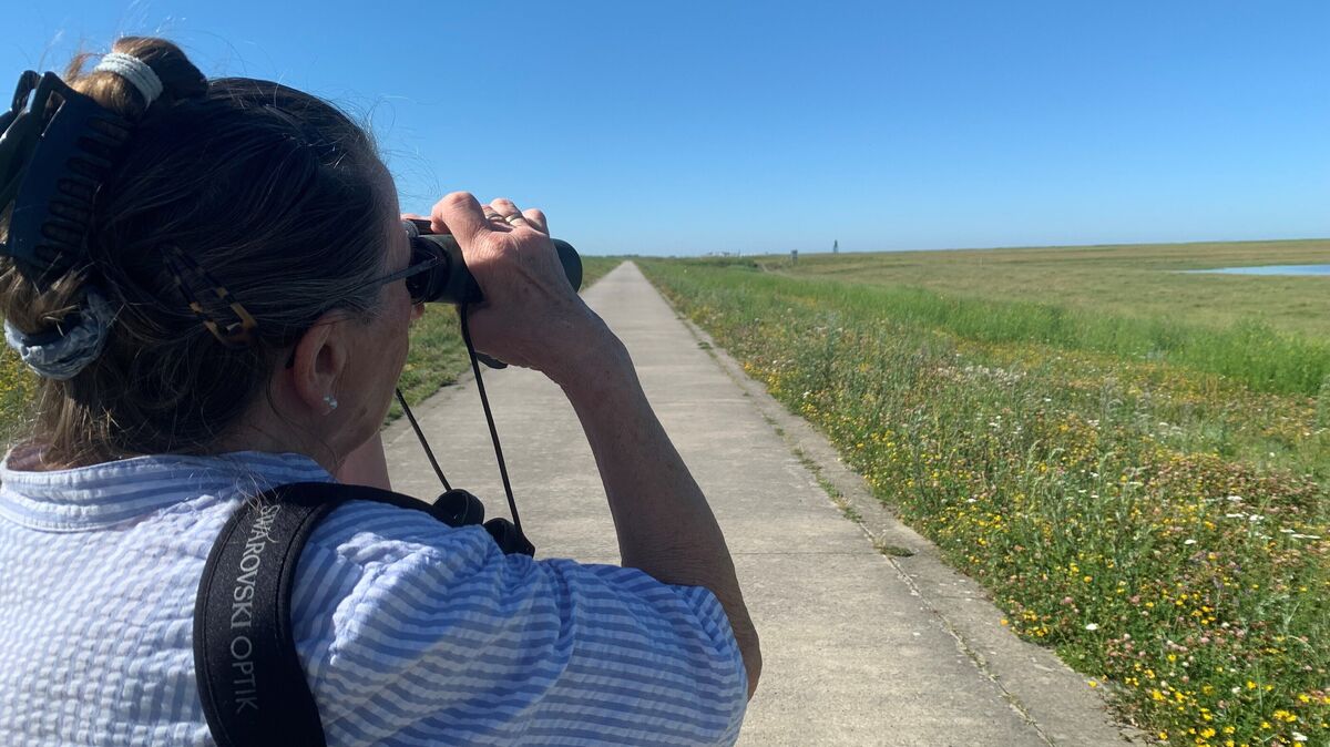 Wiltrud Streich hat immer ein Fernglas dabei, wenn sie am Deich unterwegs ist. Foto: May
