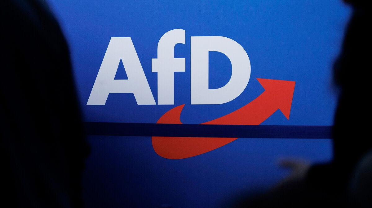 Unter Beobachtung: Die AfD in Niedersachsen steht im Fokus des Verfassungsschutzes. Foto: Carsten Koall/dpa