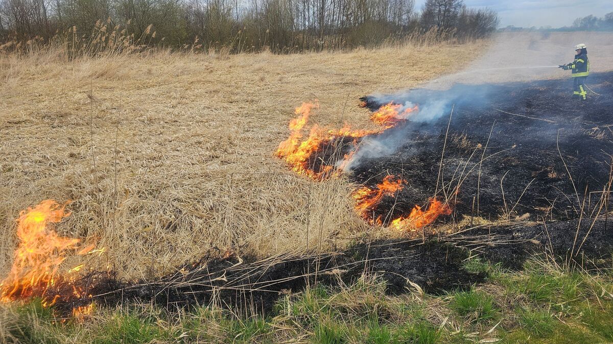 Durch den herrschenden Wind breitete sich das Feuer in dem trockenen Gras und Schilf rasch aus. Foto: Jürgen Lange
