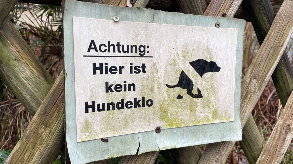 Dass die Achse zwischen Schillerplatz und der Straße Am Seedeich immer wieder als "Hundeklo" missbraucht wird, ist keine ganz neue Erkenntnis. Anwohner in der Neuen Reihe haben offenbar schon vor längerer Zeit dieses Schild installiert. Foto: Koppe