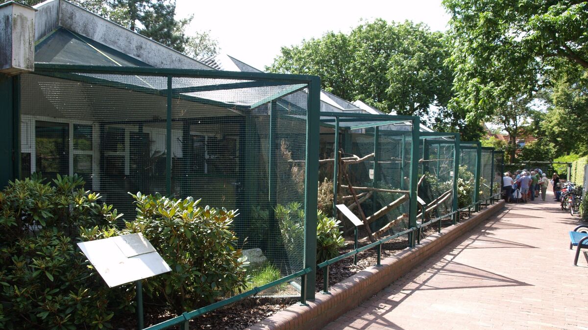 Die Gehege im Döser Kurpark: Soll die Tierhaltung modernisiert oder ganz abgeschafft werden? Die Debatte um die Zukunft des kleinen Zoos in Cuxhaven ist voll im Gange. Foto: Adelmann