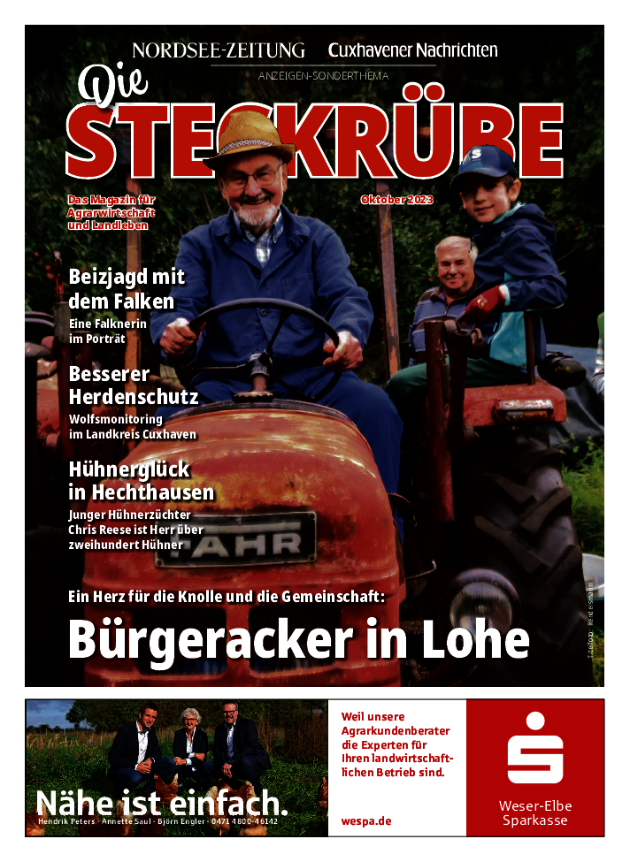 Steckrübe