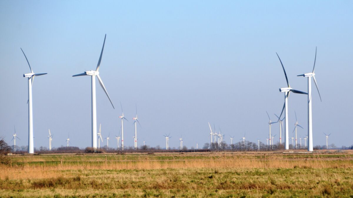 Windenergie ist an der Oste seit vielen Jahren ein - umstrittenes - Thema. Hier der Windpark Oederquart in direkterNachbarschaft zu Oberndorf. Foto: Rohde