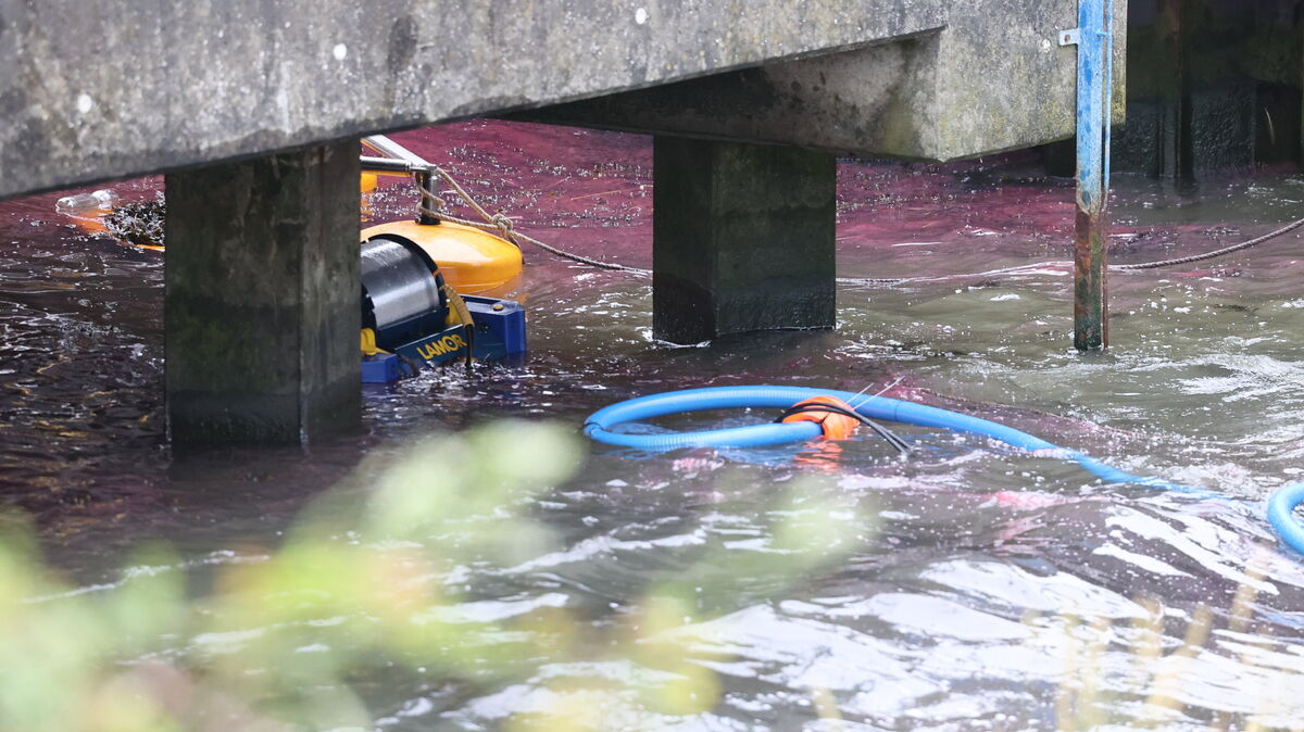 Öl in der Ecke des Vorhafens wird mit Pumpen in das 36.000-Liter-Sammelbecken gefördert, um eine weitere Ausbreitung zu verhindern. Foto: Larschow
