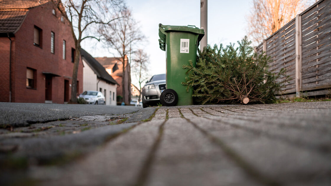 Wann Wird Der Tannenbaum Abgeholt Tschüss, Tannenbaum: Wann und wo im Kreis Cuxhaven abgeholt wird | CNV