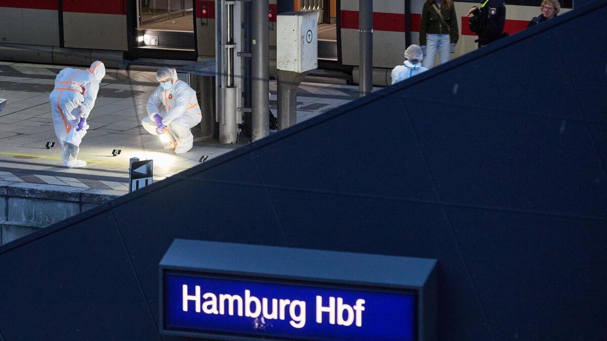 Tatort Hamburger Hauptbahnhof: Nur einen Tag nach ihrer Entlassung hat die Frau hier zugestochen. Wie kann es zu solchen Vorfällen kommen? Foto: Georg Wendt/dpa