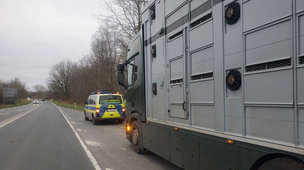 Ein Tiertransport wird von den Behörden kontrolliert. Foto: Landkreis Cuxhaven