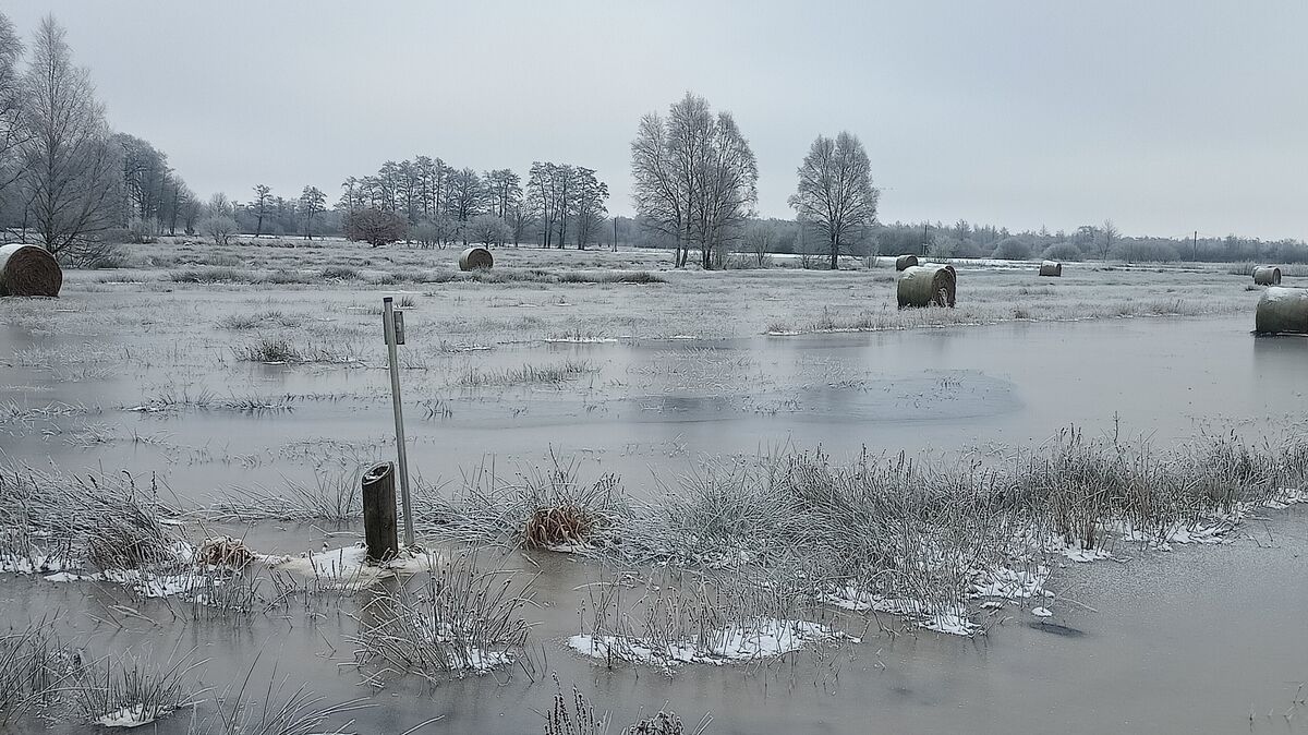 Seenlandschaft statt landwirtschaftlich genutzter Flächen: So sieht es zurzeit im Bereich Bülkau-Bovenmoor aus, wo es großflächige Überschwemmungen gibt, da das Wasser des Balksees über die Ufer getreten ist. Foto: Schröder