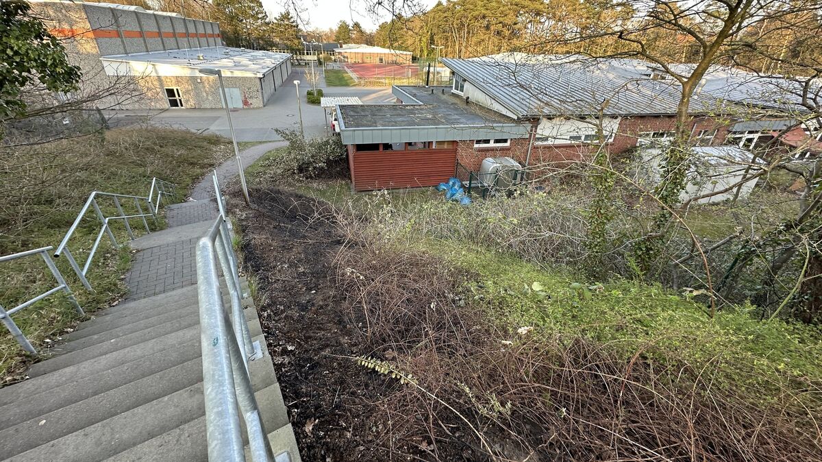 Der am Sonnabend entstandene Flächenbrand an der Treppe zum Kindergarten- und Schulgelände in Franzenburg war schnell gelöscht - rechtzeitig vor Erreichen des Kita-Gebäudes. Foto: Reese-Winne