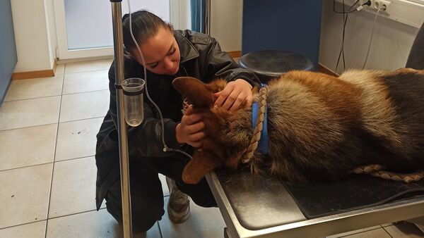 Neues aus dem Tierheim Cuxhaven: "Freud und Leid liegen sehr nah beieinander"