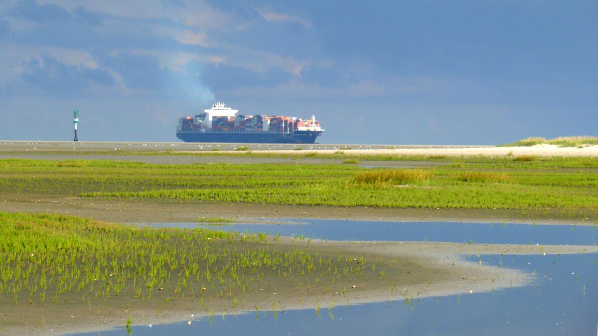 Vogelinsel Scharhörn: Vor dem Eiland unweit von Neuwerk und nahe der Cuxhavener Strände will die Hamburger Hafenbehörde den durch die Elbvertiefung verstärkt anfallenden Elbschlick ablagern. Foto: Eisermann