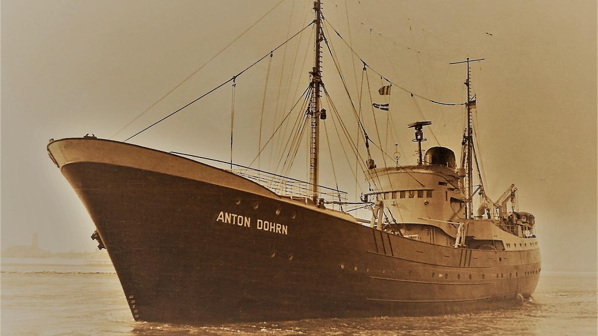 Das einstige Fischereiforschungsschiff "Anton Dohrn" war nach der Form eines Seitenfängers konstruiert, hatte aber höhere Bordwände. Fotos: Sammlung Jakobeit