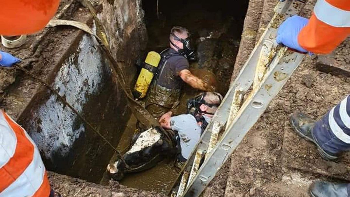 Unter Atemschutz und mit Wathosen steigen die Retter in den Güllekeller. Foto: Feuerwehr Wanna
