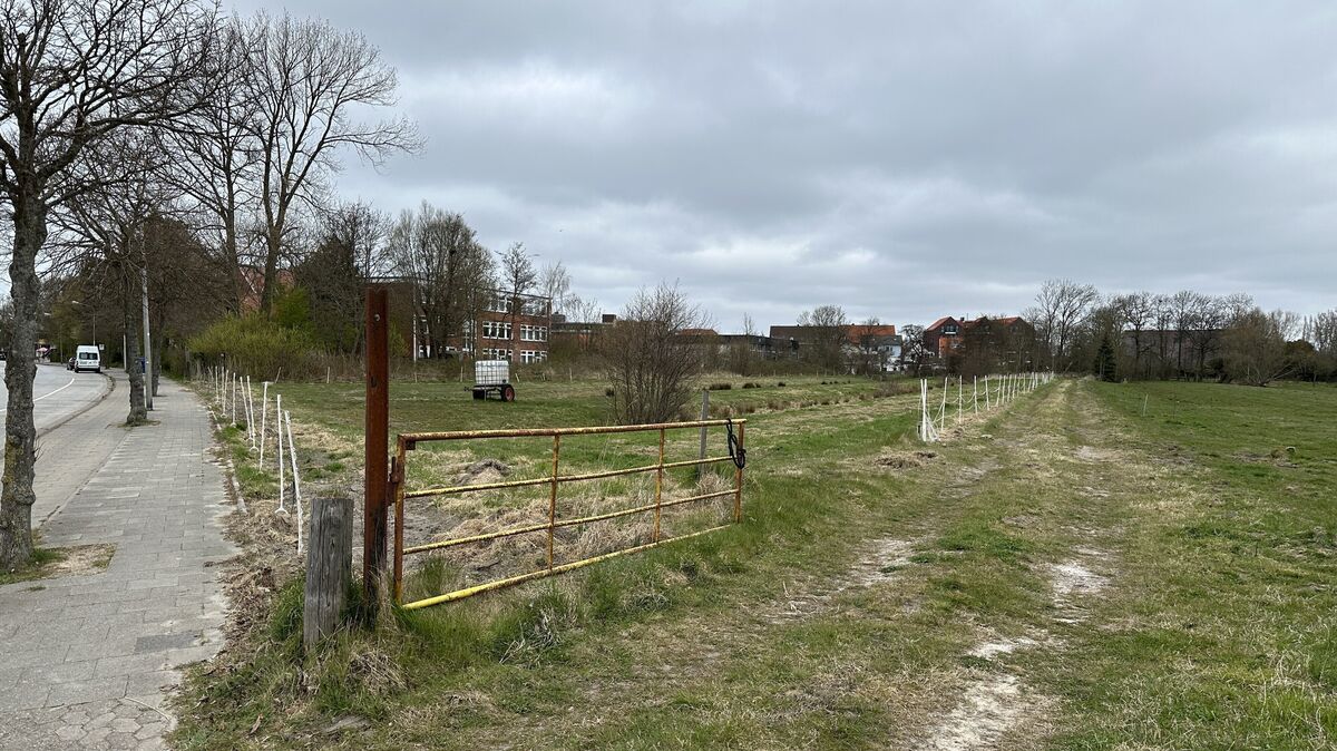 Auf der Wiese neben der heutigen Schule am Meer soll der Neubau für die Förderschule entstehen. Foto: Reese-Winne