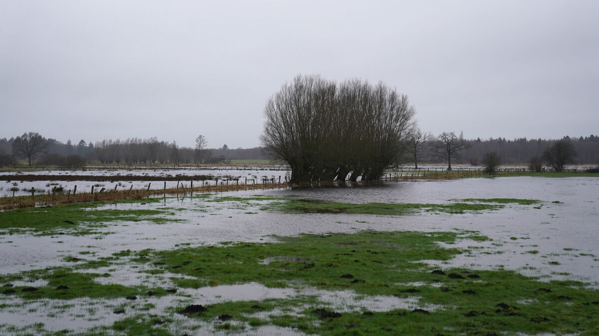 Nachdem wochenlang Schnee auf den Wiesen und Feldern gelegen und nun das Tauwetter eingesetzt hatte, haben sich zahlreiche Äcker und Wiesen in kleine Seenlandschaften verwandelt. Foto: Marcus Brandt/dpa