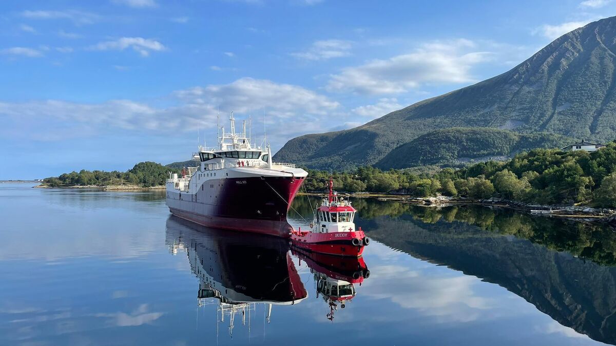 Der Neubau "Berlin NC 107" in Norwegen: In  Brattvaag erfolgt die Installation der Fabrik, der Unterkünfte, der Kräne sowie der Maschinen- und Brückenausrüstung. Sobald alles installiert, angeschlossen und eingestellt ist, wird das Schiff in Betrieb genommen. Foto: DFFU