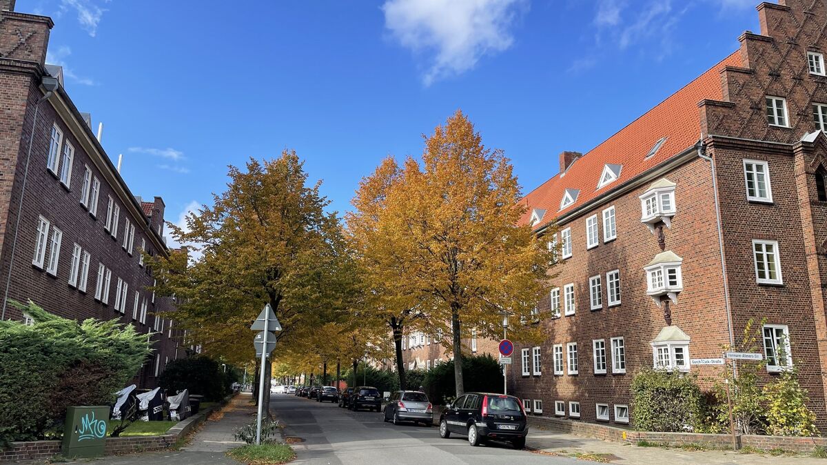 Die einstigen Wohnungen der insolventen Nord Wohnen Portfolio 1 (hier in der Gorch-Fock-Straße/Ecke Hermann-Allmers-Straße) haben den Besitzer gewechselt: Die Deutsche Zinshaus GmbH hat den Bestand erworben. Foto: Reese-Winne