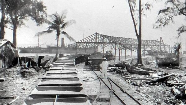 Wie ein Dünger die Geest im Elbe-Weser-Raum veränderte
