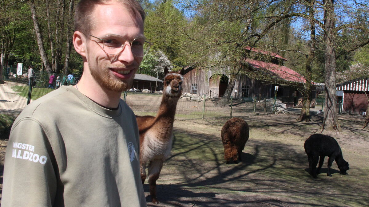 Michael Geyer lebt als Obertierpfleger im Waldzoo Wingst seine Berufung. Foto: Kramp