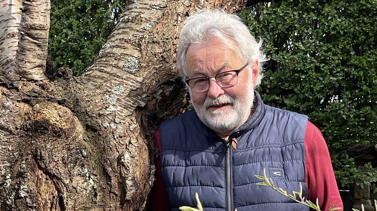 Jens Dreyßig hat mit der Obstsortenerhaltungsanlage "Bien Galgenberg" ein Paradies geschaffen, das Pflanzen und Menschen guttut und das Überleben seltener Sorten sichern soll. Foto: Reese-Winne