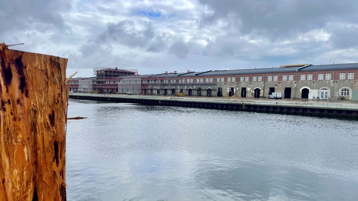 Das Sanierungsprojekt Alter Fischereihafen bewegt sich aktuell mit großen Schritten voran. In der Geschäftsleitung der Betreiber-GmbH glaubt man daran, dass dies auch so bleibt. Foto: Koppe