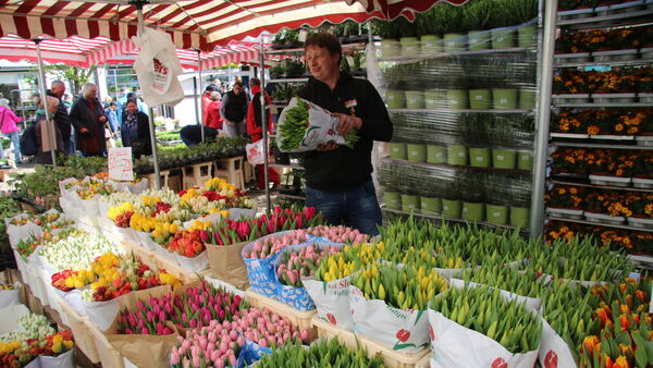 Blütenmeer in der Cuxhavener Innenstadt