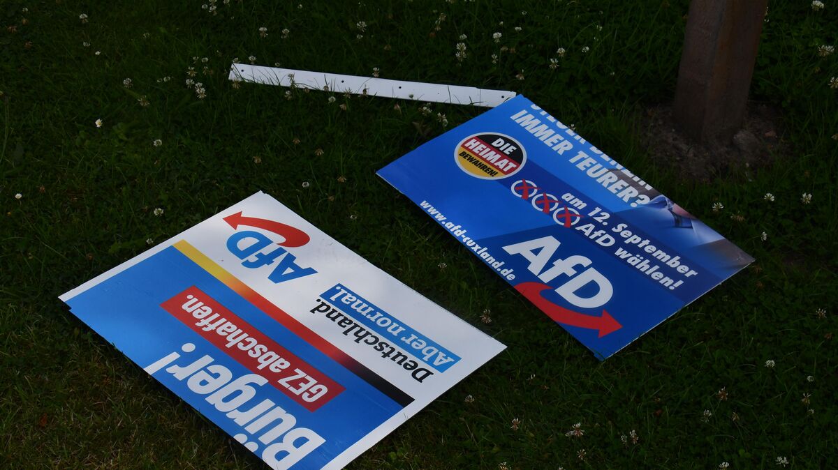 Wahlplakate der AfD nach der Wahl: Nun gibt es Streit um die rechtmäßge Besetzung der Mandate im Rat der Stadt Cuxhaven. Foto: Kramp