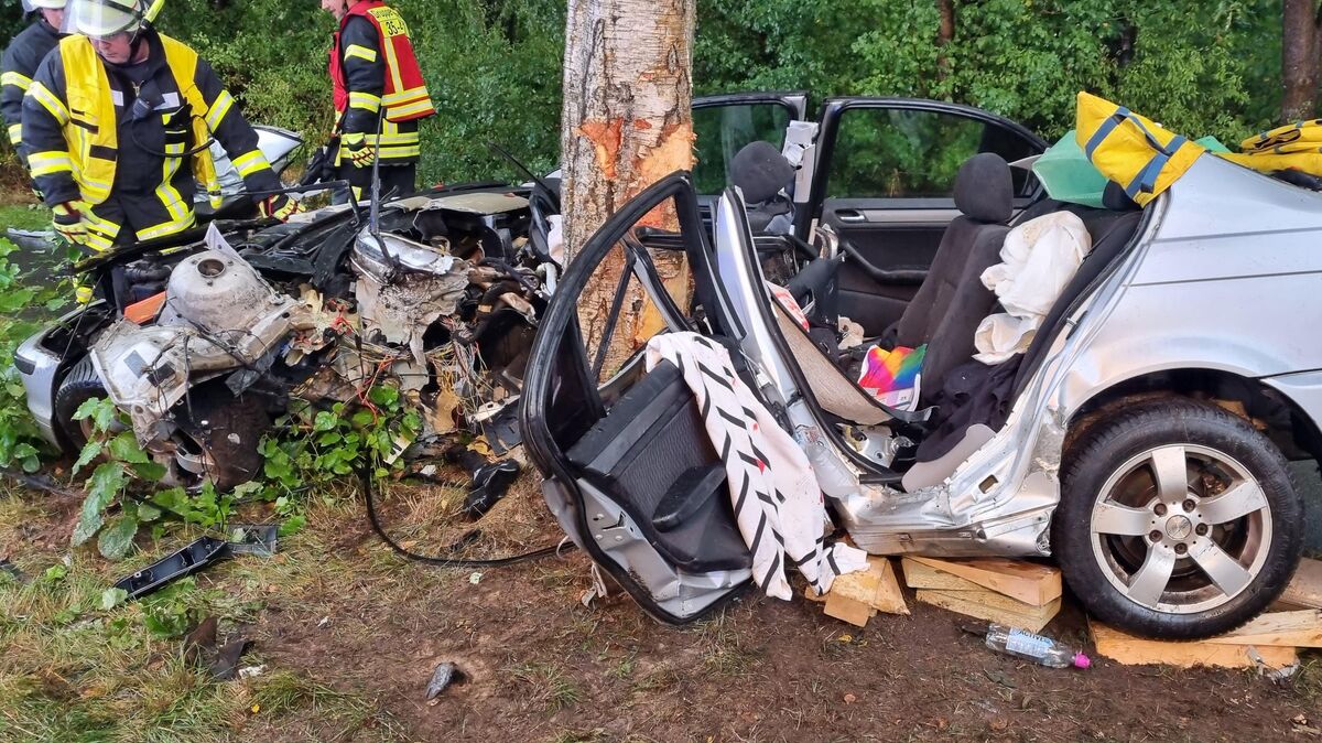 Der BMW prallte mit der Fahrerseite gegen einen Baum und wurde total beschädigt. Foto: Polizei Stade