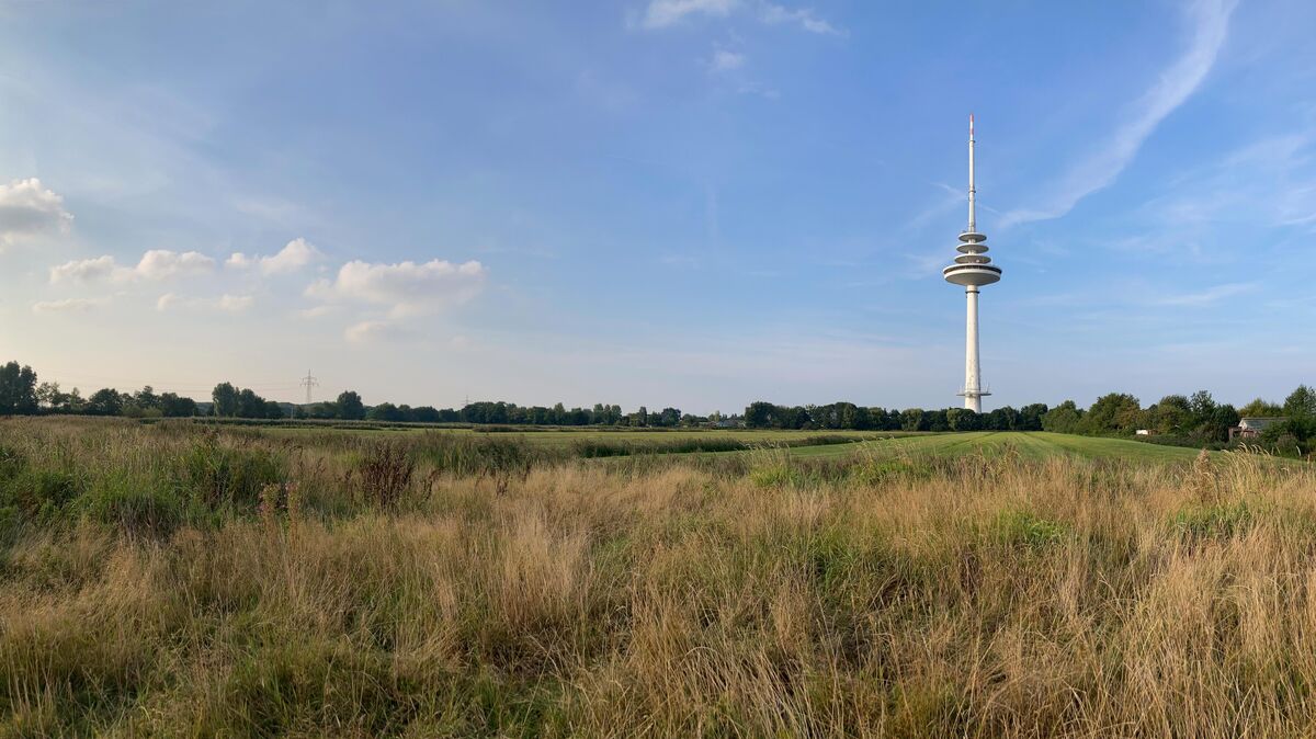 Fast bis zum Fuß des Cuxhavener Fernsehturms erstreckt sich das Areal, auf dem in zwei Jahren ein neues Wohnquartier entstehen könnte. Foto: Koppe