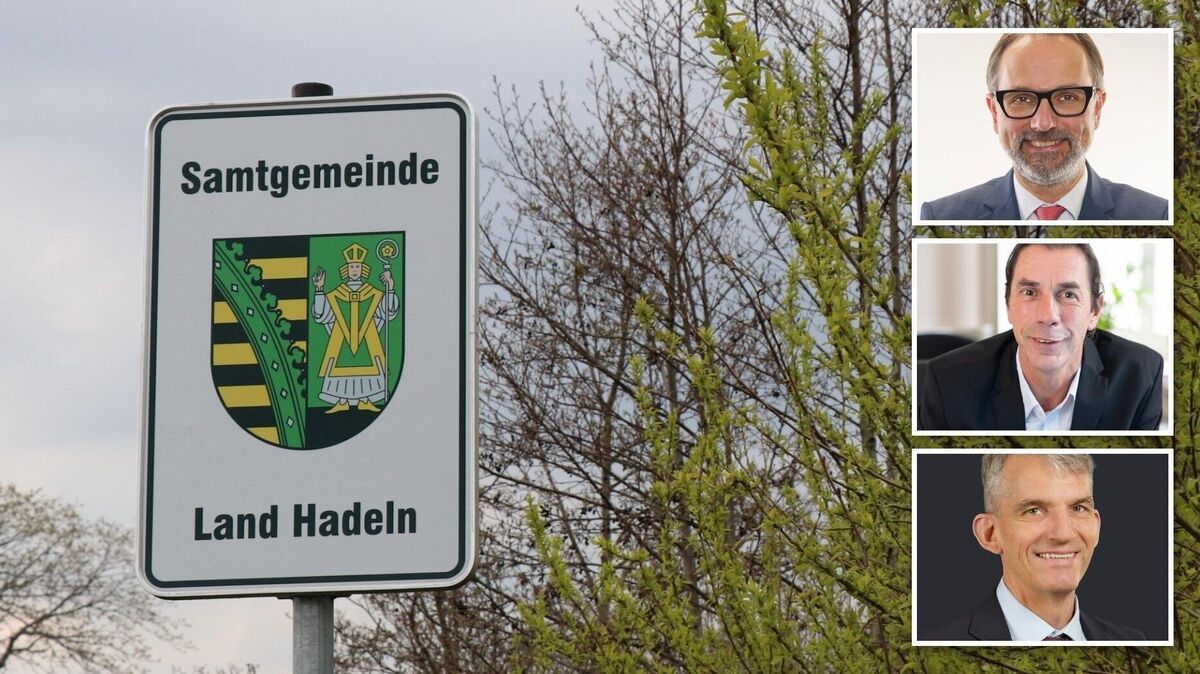 Drei Kandidaten, ein Ziel: Die Bürgermeisterwahl in der Samtgemeinde Land Hadeln verspricht Spannung und Vielfalt. Es treten an (von oben nach unten): Maik Schwanemann, Frank Thielebeule und Michael Merz. Foto: Mangels/Merz/Thielebeule/Schwanemann