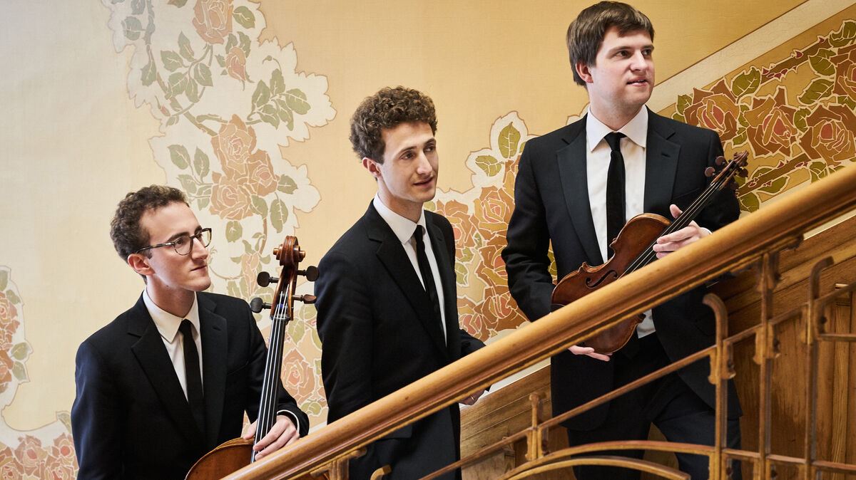 Das Busch Trio Amsterdam beschließt am 26. März 2027 im Schloss Ritzebüttel den Cuxhavener Beethoven-Zyklus – mit einer Geige aus dem Jahr 1783. Foto: Kaupo Kikkas