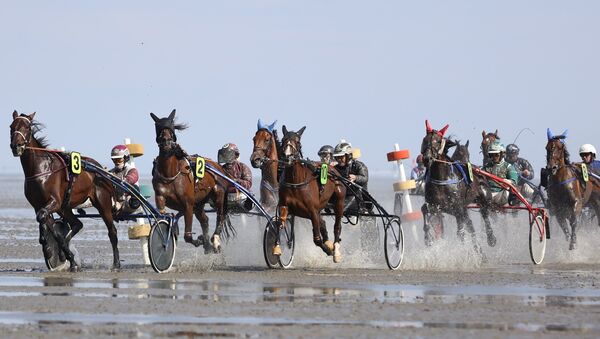 Emotionaler Moment vor Duhner Wattrennen 2025: Historische Schätze fürs Archiv