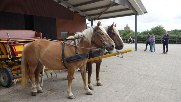 Wattwagen-Unfall vor Cuxhaven: Gericht stellt Szenario nach