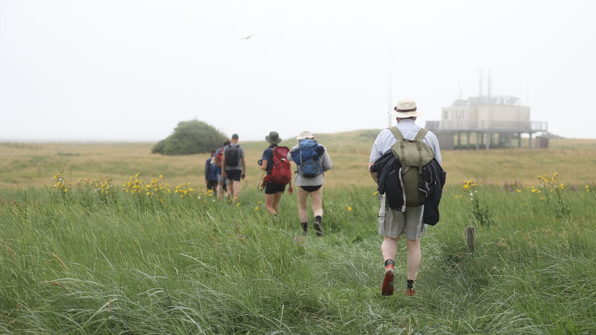 Die Wandergruppe erreicht Scharhörn. Nach rund acht Kilometern durch das Watt betritt sie die geschützte Vogelschutzinsel, die jetzt im Rahmen angemeldeter Führungen zugänglich ist. Foto: Larschow