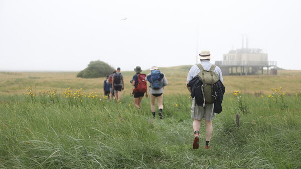 "Man schützt nur, was man kennt": Von Cuxhaven bis zur Vogelschutzinsel Scharhörn 