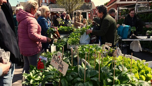 Otterndorf blüht auf: Viel los beim Bauernmarkt 2026 in der Medemstadt
