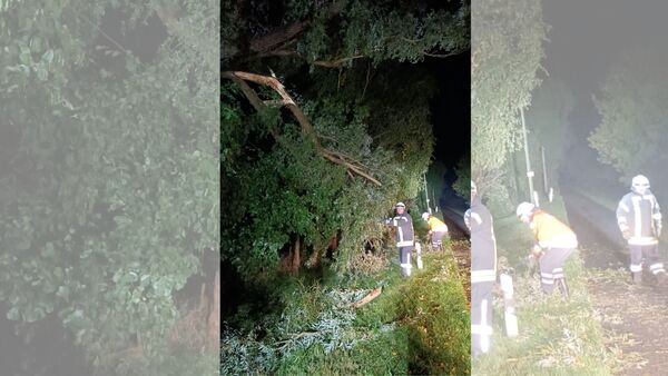 Sturmtief "Detlef" wütet durch den Kreis Cuxhaven: Baumkrone blockiert Fahrbahn