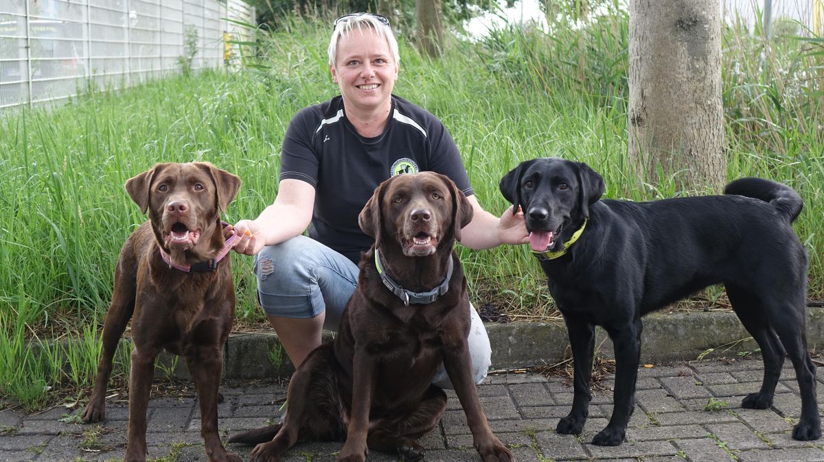 Michaela Berger mit ihren drei Labrador-Hündinnen (v.l.) Luna, Ginger und Akira. Foto: Kuczorra