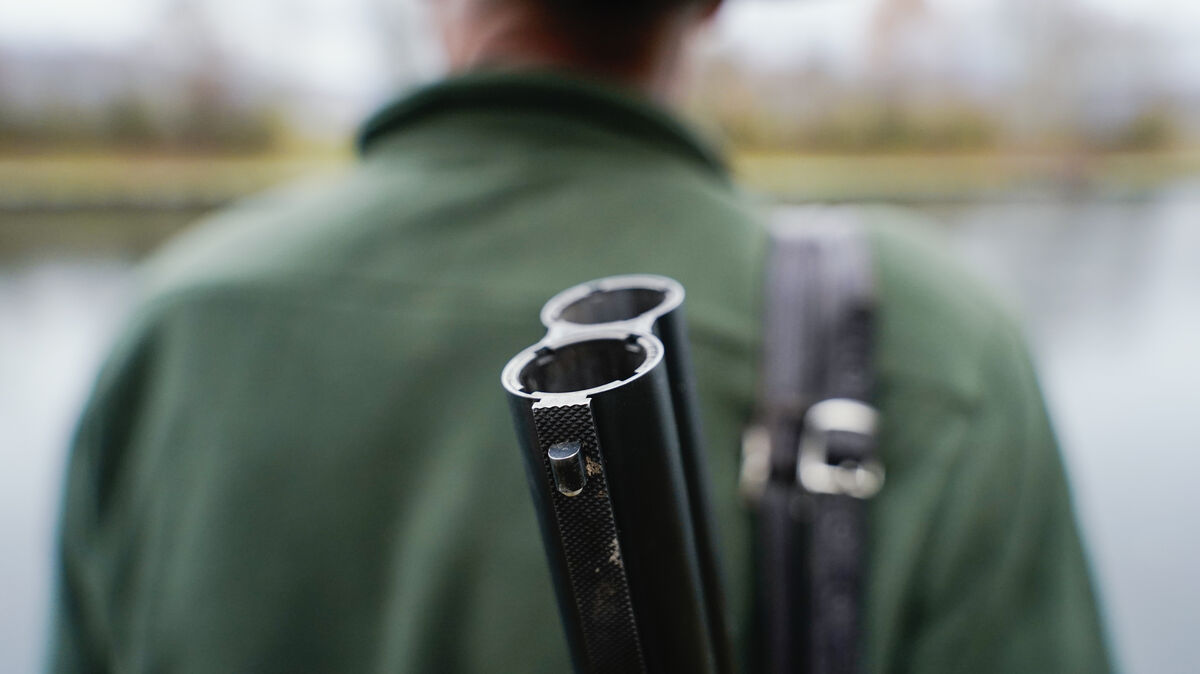 In Lamstedt wurde ein Jäger von einem Jäger angeschossen. Die Umstände sind unklar. Foto: dpa