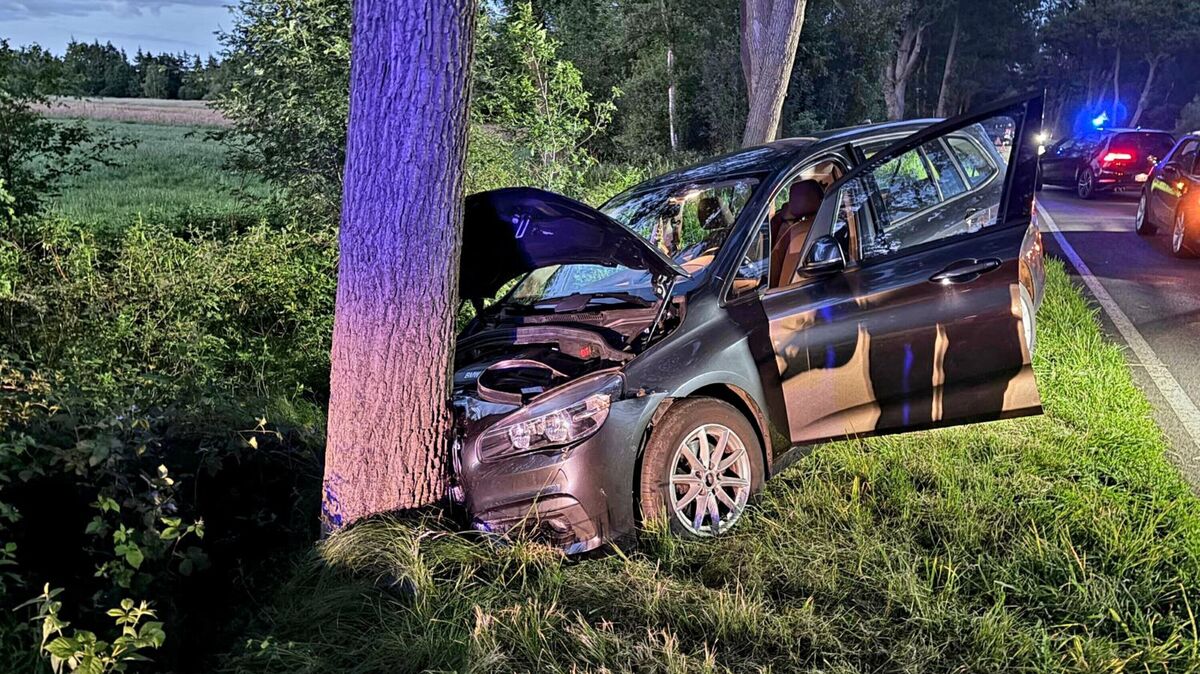 Nachdem der 33-jährige Fahrer ausweichen wollte, prallt der Wagen frontal gegen einen Baum. Foto: Lange