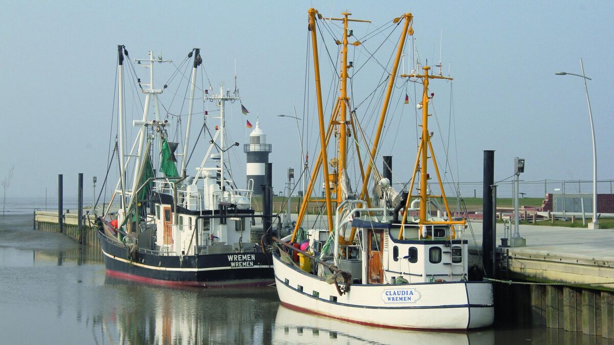 Mehrere Krabbenkutter sind im Hafen von Wremen beheimatet. Archivfoto: Sassen