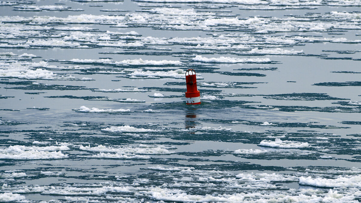 Eisschollen treiben auf der Elbe und beeinträchtigen weiterhin den Fährverkehr. Foto: Büttner/dpa