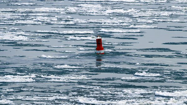 Eisgang und Ostwind stoppen Verkehr: Elbfähre Glückstadt-Wischhafen weiter ausgesetzt
