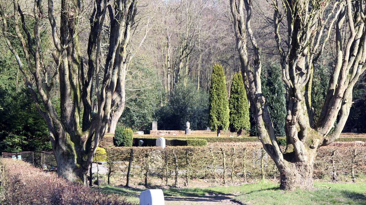 Die Zahl der im Jahr 2022 registrierten Sterbefälle deutet sowohl für die Stadt Cuxhaven als auch für Hadeln auf eine deutliche Übersterblichkeit hin. Wissenschaftler haben es noch vor sich, die regionalen Besonderheiten zu untersuchen. Foto: Reese-Winne