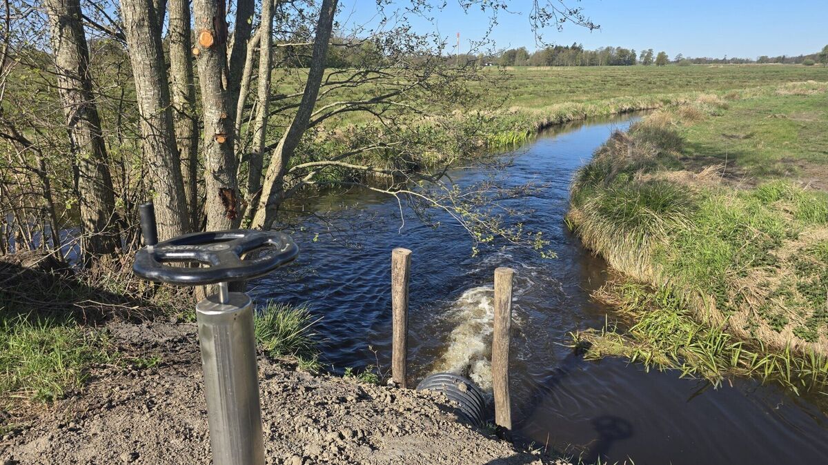 Die neue Zuwässerung zwischen Balksee und Aue: Über die Steuerung kann die Wassermenge reguliert werden, um die Wasserführung insbesondere in trockenen Phasen zu unterstützen. Foto: wilde-natur.org