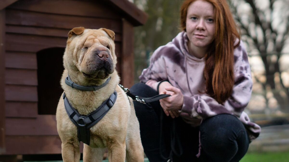 Tierheimleiterin Laura Reyelts und ihre Shar-Pei-Hündin „Schnapp“. Foto: Tierschutz Eine Pfote ein Versprechen