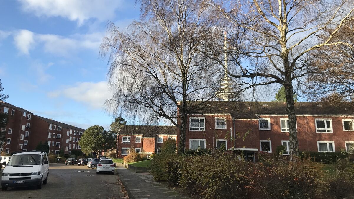 Der gesamte Häuserbestand des John-Brinckman-Wegs gehört Alpha Real Estate, dazu kommen weitere Mietwohnungen in den umliegenden Straßen - insgesamt 281. Foto: Reese-Winne