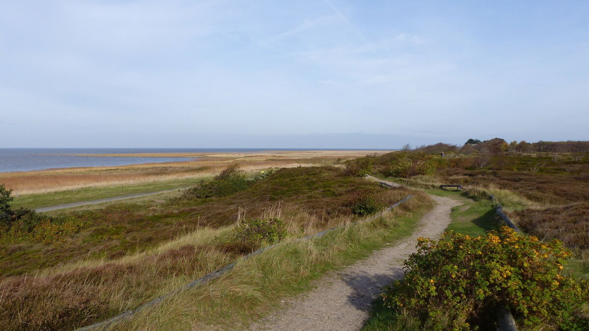Die Einzigartigkeit der Natur vor der Cuxhavener Haustür soll sich im Leben und Wirtschaften wiederspiegeln: Das ist der Ansatz beim Thema Biosphärenregion. Foto: Reese-Winne